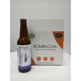 TRÀ EIYO KOMBUCHA – PHỤC HỒI & TÁI TẠO –MÙI HƯƠNG THẢO (Restore & Regenerate – Rosemary)