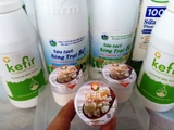 KEFIR YOGURT STARTER - ORGANIC ( Hạt Sữa Chua Kefir khởi động)