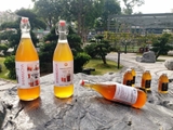 Trà KOMBUCHA GREEN TEA - Nguyên Chất Thô (chuyên dùng cho pha chế tại Nhà & Quán cà phê, quán bar, trà chanh, trà sữa)