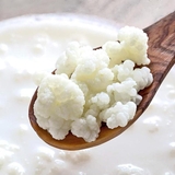 KEFIR YOGURT STARTER - ORGANIC ( Hạt Sữa Chua Kefir khởi động)