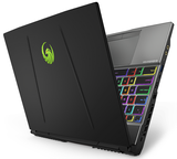Laptop MSI Alpha 17 B5EEK 031VN