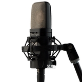 Warm Audio WA-14 Condenser Microphone