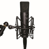 Warm Audio WA-87 Condenser Microphone