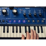 Novation MiniNova 37-minikey Analog Synthesizer