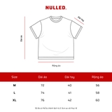 Áo thun raglan tay lỡ NULLED Core Index Tee | N-T378-HC-T6-TX