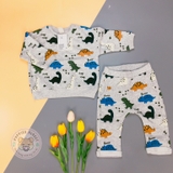 HM Sweatshirt and Pants dinosaurs