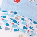 Cordii Whale Family Banso (20SS)_CF106