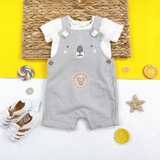 TU CLOTHING Baby Grey Koala Dungarees & Bodysuit
