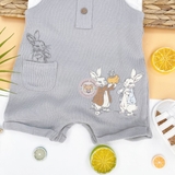 TU CLOTHING Baby Peter Rabbit Dungarees & Bodysuit