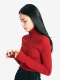 Áo len họa tiết nữ xanh