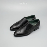 OXFORD WINGTIP 167 NÂU