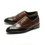 OXFORD 167 SPECTATOR