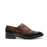 OXFORD 167 SPECTATOR