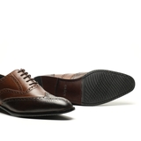 OXFORD 167 SPECTATOR