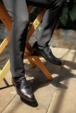 OXFORD WINGTIP 167 NÂU