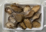 Bào ngư tươi