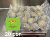 BÀO NGƯ con tươi