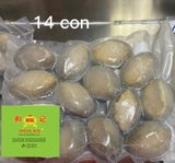 BÀO NGƯ con tươi