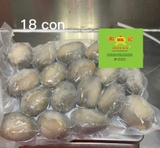 BÀO NGƯ con tươi