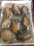 Bào ngư tươi