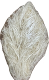 Vi Cá (kéo cước sợi)