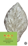 Vi Cá (kéo cước sợi)