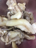 Gân Bò Chữ Y