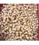 Cồi sò điệp khô