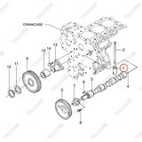 Con đội cam BN-15601-15550 (6 cái)
