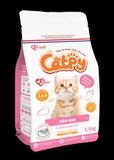CATPY KITTEN MÈO CON 1,5KG