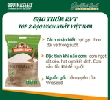 GẠO THƠM RVT VINASEED TÚI 5KG