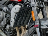 Che két nước Talisman cho Triumph Trident 660