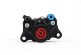 Heo Brembo 2 pis đen đỏ