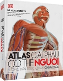 Atlas Giải Phẫu Cơ Thể Người: Hướng Dẫn Trực Quan Chính Xác - Bìa Cứng (Tái Bản 2026)