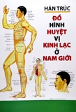 Đồ Hình Huyệt Vị Kinh Lạc Ở Nam Giới