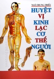 Huyệt Vị Kinh Lạc Cơ Thể Người