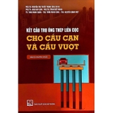 Kết Cấu Trụ Ống Thép Liền Cọc Cho Cầu Cạn Và Cầu Vượt (Sách Chuyên Khảo)