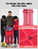 Rọng Cá Gama - Seiko Chép Đỏ