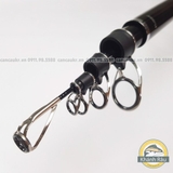 Cần câu lục Daiwa EXTRA SURF T33-425K