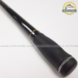 Cần câu lục Daiwa EXTRA SURF T33-425K