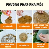 Mồi Câu Lão Quỷ - Chép Thần Số 1 ( Tanh )