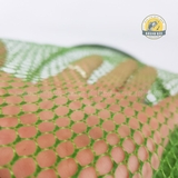 Túi cá thường tráng cau su