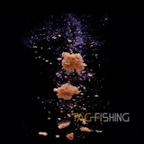 Mồi Câu Lão Quỷ - Chép Xanh ( Tanh )