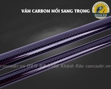 Gác cần tốc độ Carbon câu đơn - câu đài