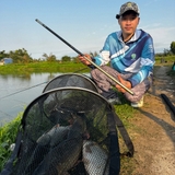 Cần Tay Bamboo Chiến Mã II PRO