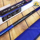 Cần Lục Daiwa Sky Surf T33-425