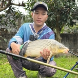 Cần Tay Bamboo Chiến Mã II PRO