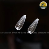 Hạt gạo thần kì - Câu Lure