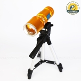Đèn soi Ổ / Phao F13 Vàng 2 màu