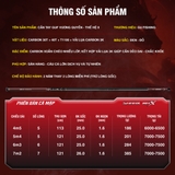 Cần Tay GUF Vương Quyền TH2 Săn Hàng Cá Mập